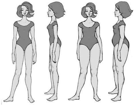 Female Body Types - Free Knowledge Base- The DUCK Project: information ...