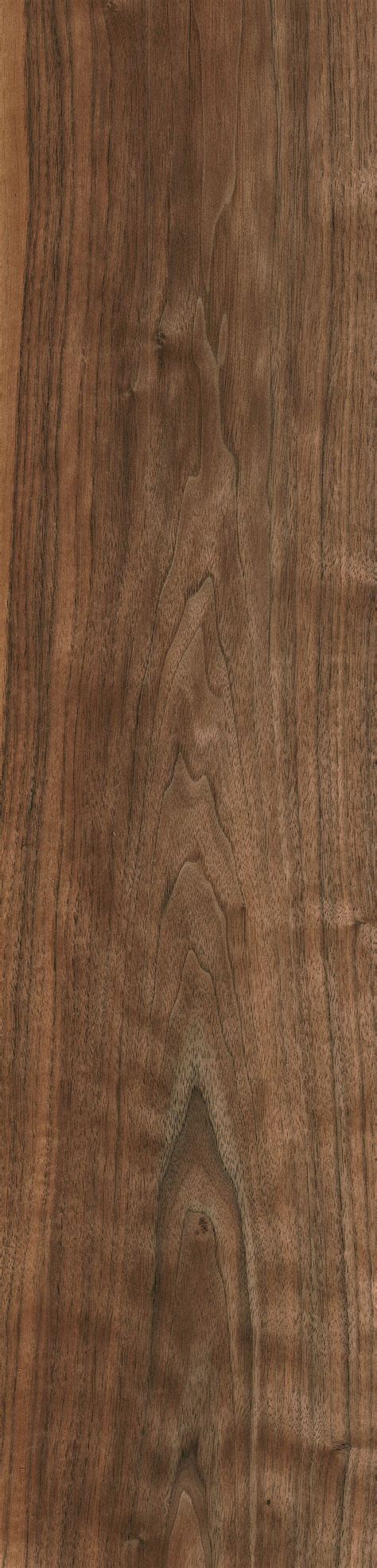 Black Walnut Wood Grain