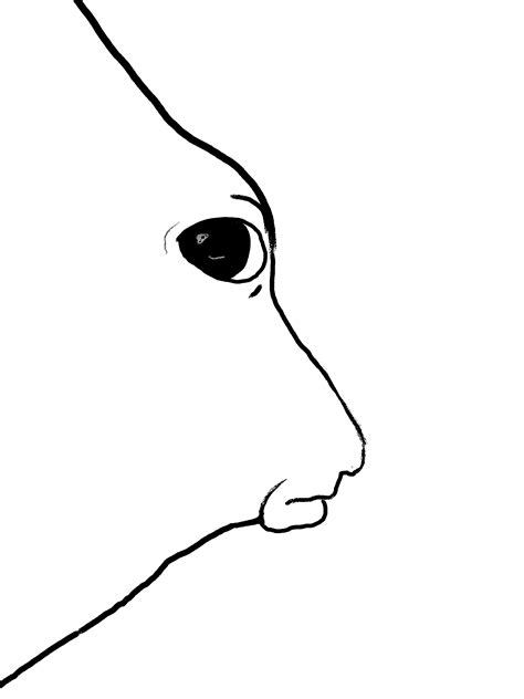 Side Eye Horse Wojak | Side Eye Horse | Know Your Meme