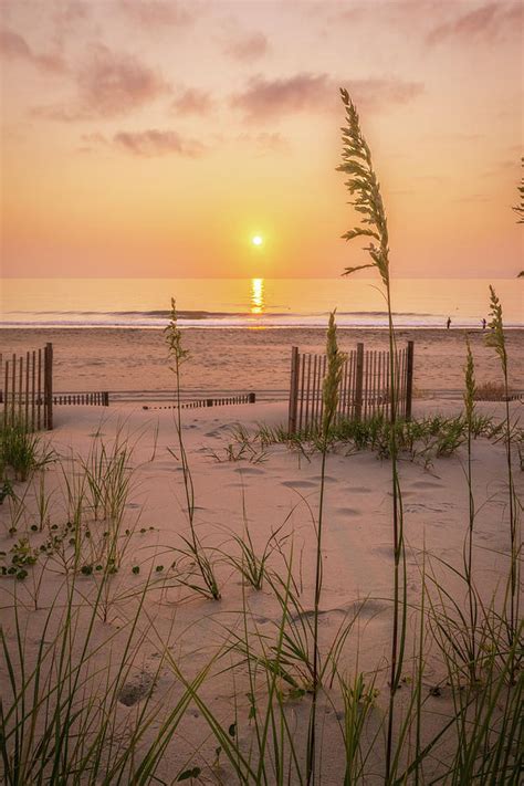 Beach Grass Sunrise Ocean Outer Banks North Carolina Photograph by ...