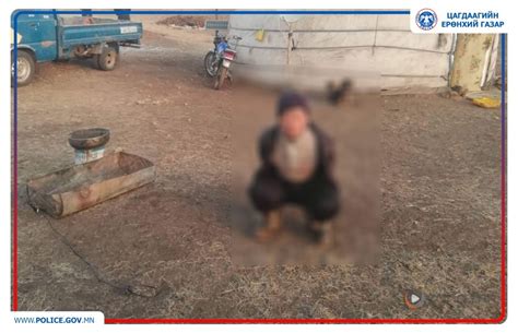 Хүний амь насыг буудаж хөнөөсөн этгээдийг баривчилжээ