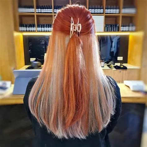 30 Spellbinding Hidden Hair Color Ideas for Women [2024]