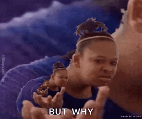 But Why GIFs | GIFDB.com