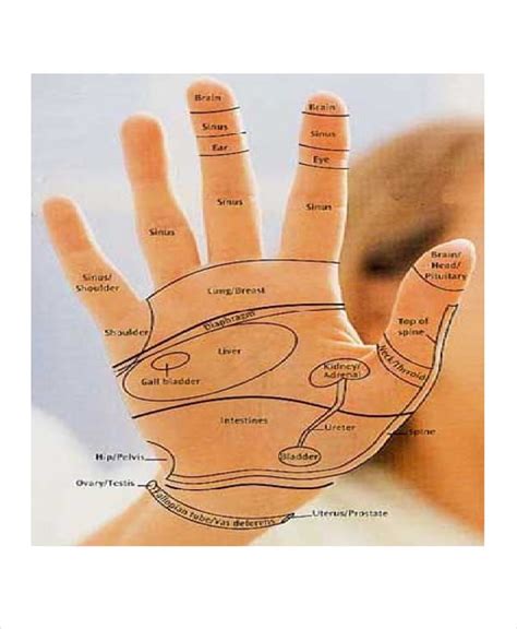 Printable Hand Reflexology Chart - prntbl.concejomunicipaldechinu.gov.co