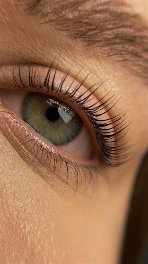Lash lamination | Ciglia, Extension delle ciglia, Laminato