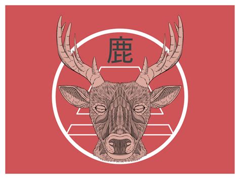 Shika by Novan A. B. Saputra on Dribbble