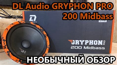 DL Audio Gryphon Pro 200 Midbass. Необычный обзор — DL Audio