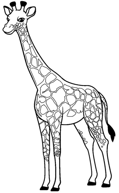 Girafa Para Colorir E Imprimir - 30+ Desenhos de Girafa para colorir - Pop Lembrancinhas