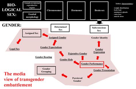 gender part  gender  behavior catholic trans