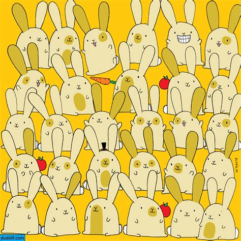 Gergely Dudás - Dudolf: Which bunny has no pair? (Which bunny has a ...