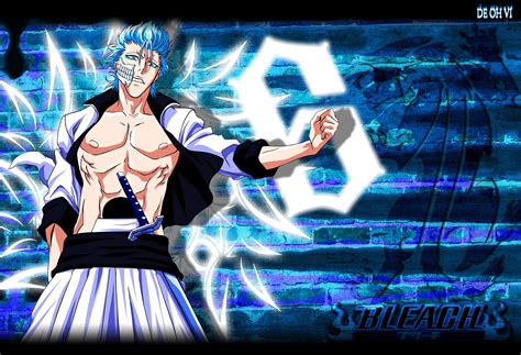 Grimmjow Jaggerjack Wallpaper (63+ pictures) - WallpaperSet