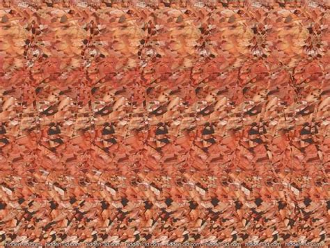 Magic eye porn 1 : r/MagicEyeNSFW