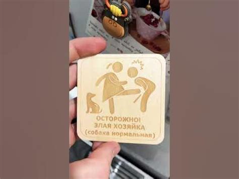 Хит продаж! Табличка-прикол "Осторожно злая хозяйка! (собака нормальная ...