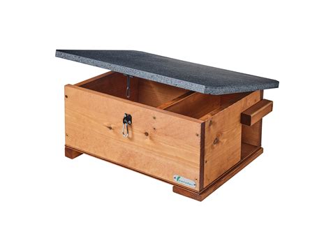 Hedgehog Box Cameras | Green Feathers