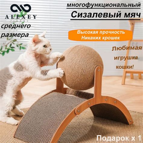 колесо для кошек беговое купить на OZON по низкой цене (1797053477)