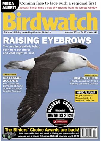 birdwatch birdguides