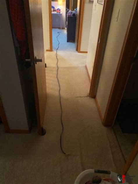 Wireworld Luna 7 RCA Interconnect 20 feet For Sale - Canuck Audio Mart