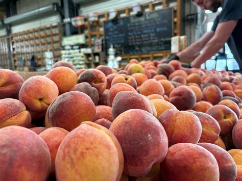 The updated ECSO Dispatch Log is... - Escambia fl. Break Ins | Facebook