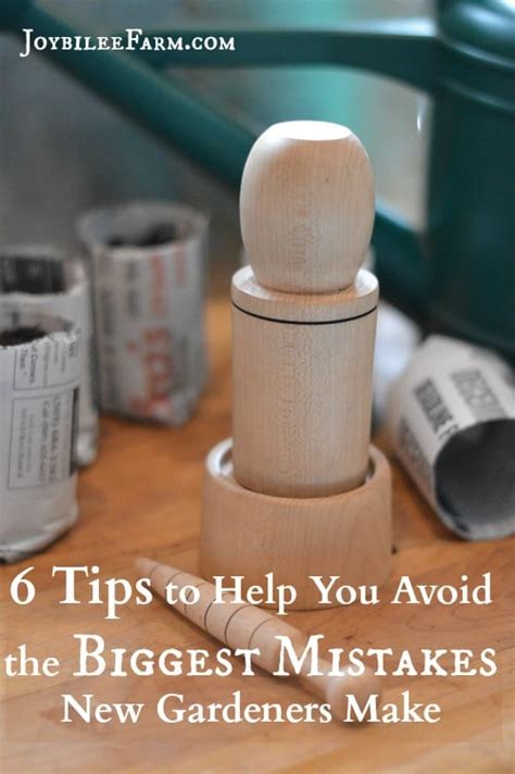 6 Gardening Tips for Beginners
