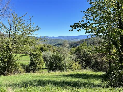 Offerings — ZenRez