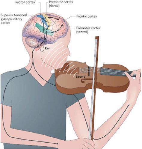 логика | Educación musical, Musica partituras, Musica
