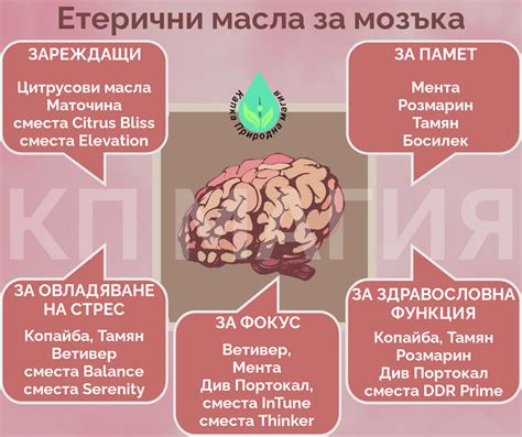 Етерични масла Дотера / doTERRA за здравословна функция на мозъка ...