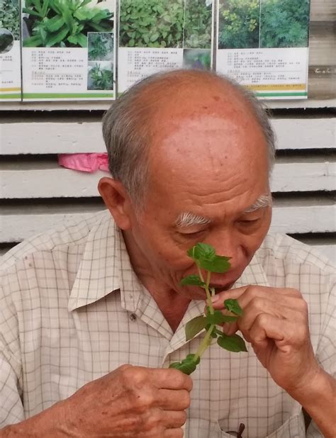 Uncle Herbs Health Center Payson Az 2