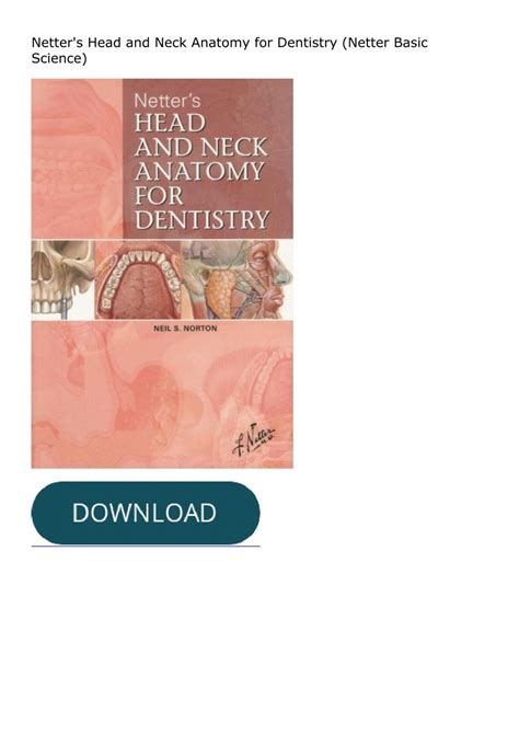 Netter Head And Neck Anatomy For Dentistry