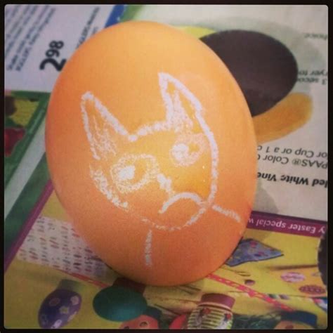 Grumpy cat Easter egg | Easter hunt, Cat egg, Grumpy cat