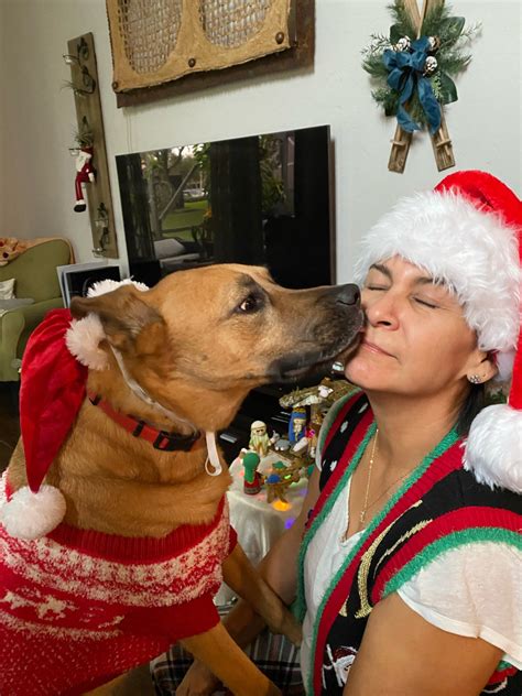 Pet Moms - Best Friends Pet Care: Dog Boarding, Dog Daycare & Grooming