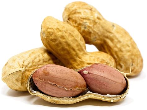 premium usa grown raw peanuts  shell  squirrels unsalted