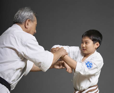 DESCRIPTIONS — World Seido Karate