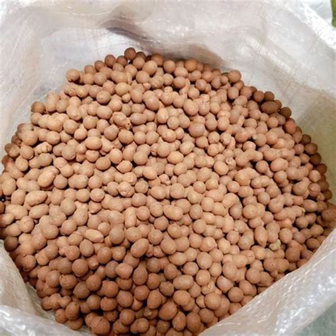 เม็ดดินเผา มวลเบา popper สีอิฐ ถุง 1ลิตร คุณภาพดี - haukeshop - ThaiPick