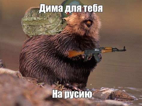 Создать комикс мем "otter, бобер, бобр" - Комиксы - Meme-arsenal.com