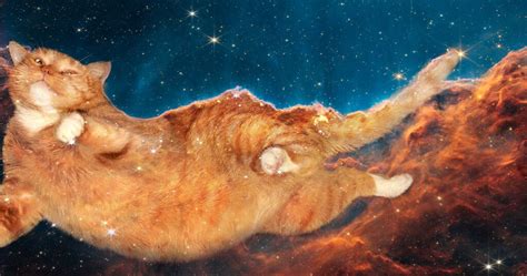James Webb Space Telescope captures the Celestial Cat!