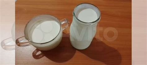 Молочные продукты купить в Санкт-Петербурге | Товары для дома и дачи ...