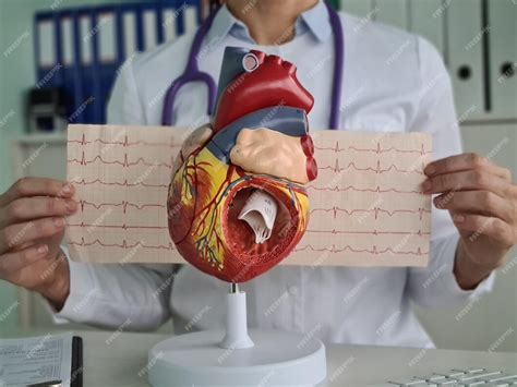 O Que É Cardiologia - O cardiologista mostra a anatomia do coração na clínica da cardiologia ...