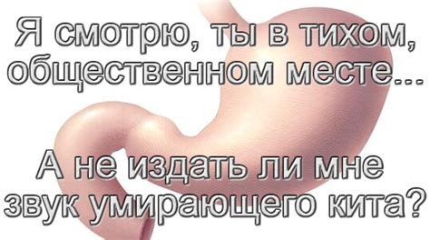 С кишечником лучше дружить! | Квинтэссенция Здоровья