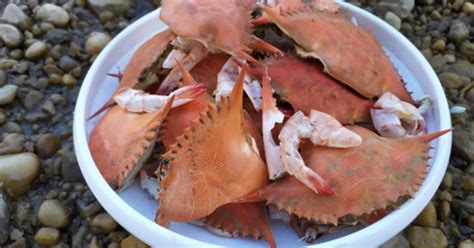 parshendi hold stormlight rcremposting