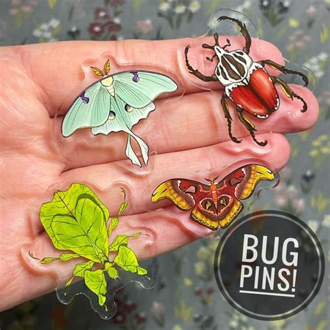 Bug Pin Collection Moth Beetle Acrylic Pins - Etsy | Acrylic pins, Pin ...