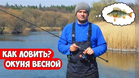 Как ловить ОКУНЯ ВЕСНОЙ - типы снастей и проводки на спиннинг - YouTube
