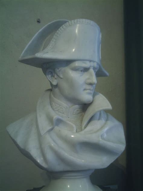 Bust of Napoleon | Napoleon, Napoléon bonaparte, Napoleon josephine