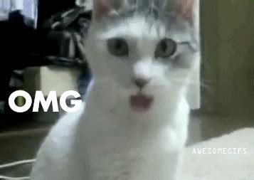OMG! This Katee Owen GIF Is Hilarious  You Have To See It! Image 16