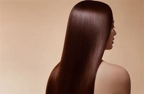 hair salon  singapore tz salon medium
