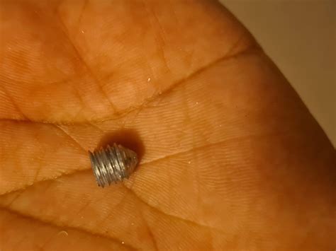 What is this headless screw called? - Home Improvement Stack Exchange
