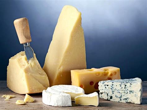 Cheese: Fact or Fiction Quiz | Britannica
