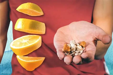 How To Lemon Tek: Psilocybin Preparation Guide - Mamadose