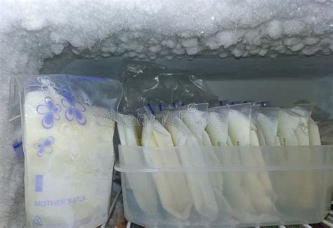 Frozen Breast Milk Packed in Storage Bags Stock Image - Image of ...