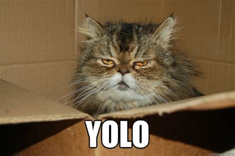 YOLO - Misc - quickmeme