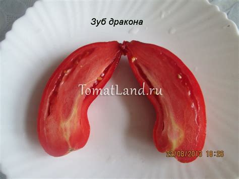 Томат Зуб дракона: описание сорта, отзывы, фото | tomatland.ru